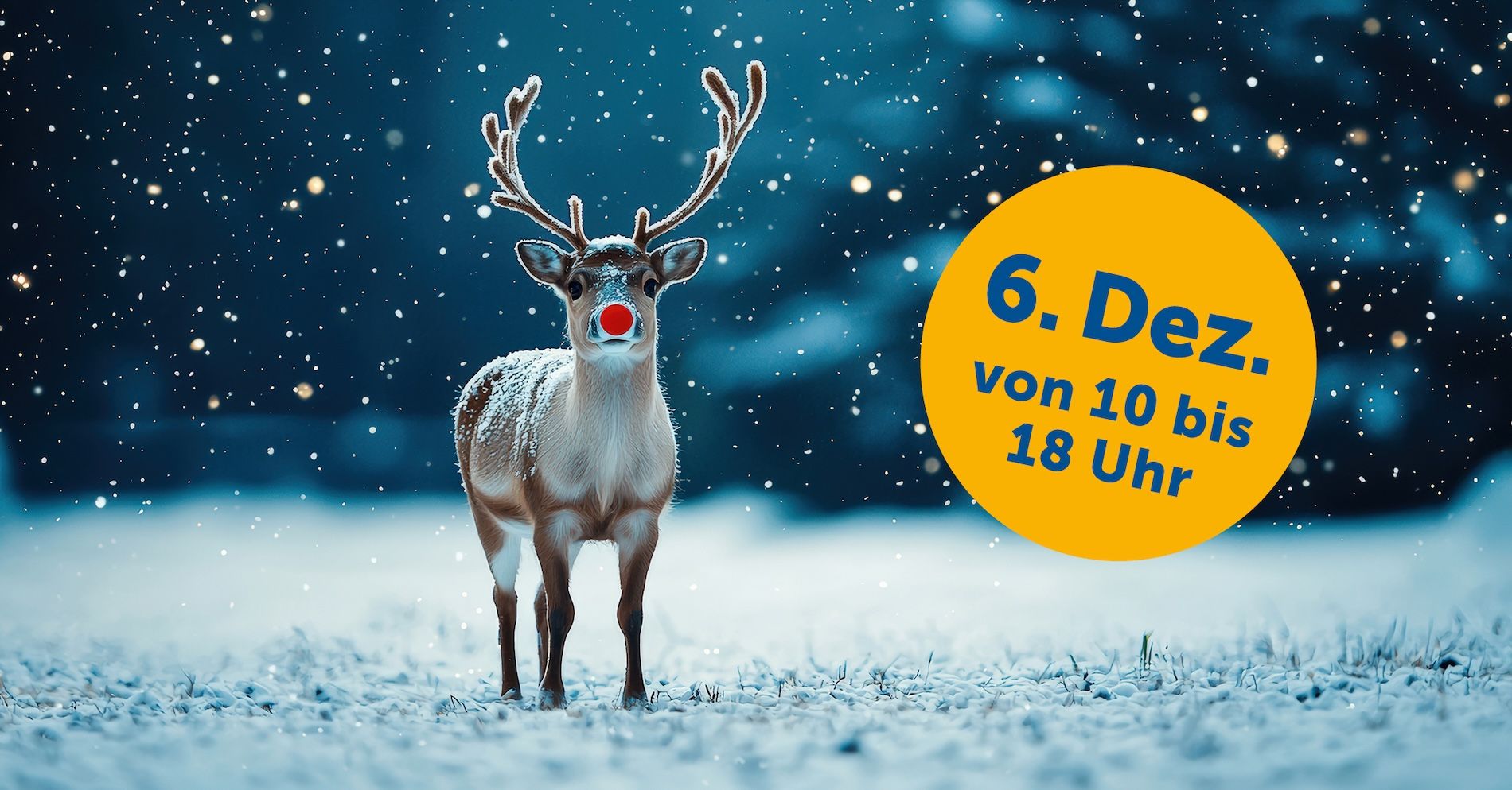 6. Dezember: Mach' ein Foto mit Rudi Rentier!